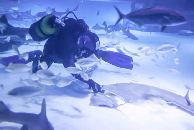 Antalya Aquarium Antalya Aquarium