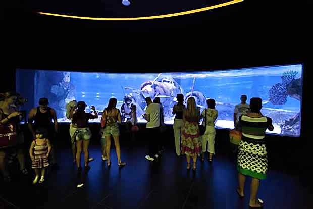 Antalya Aquarium Antalya Aquarium