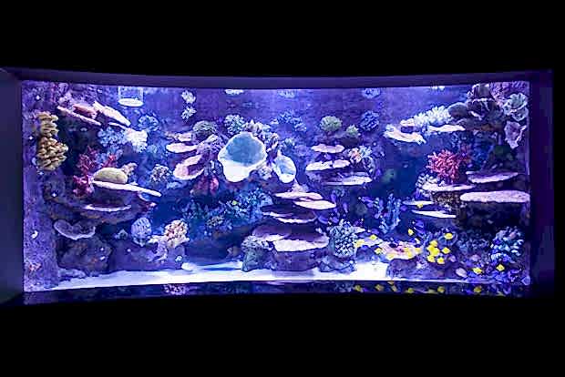 Antalya Aquarium Antalya Aquarium