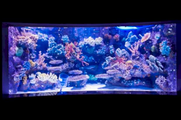 Antalya Aquarium Antalya Aquarium