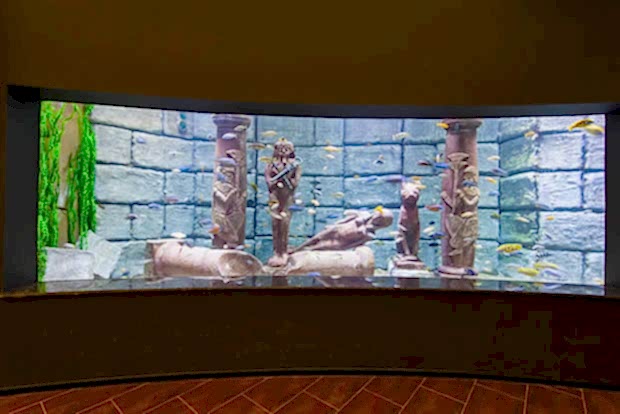 Antalya Aquarium Antalya Aquarium