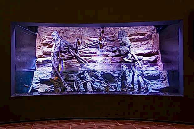 Antalya Aquarium Antalya Aquarium