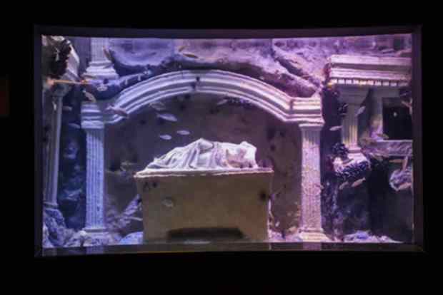 Antalya Aquarium Antalya Aquarium