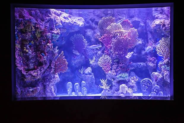 Antalya Aquarium Antalya Aquarium