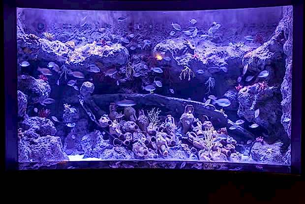 Antalya Aquarium Antalya Aquarium