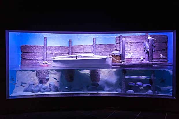 Antalya Aquarium Antalya Aquarium