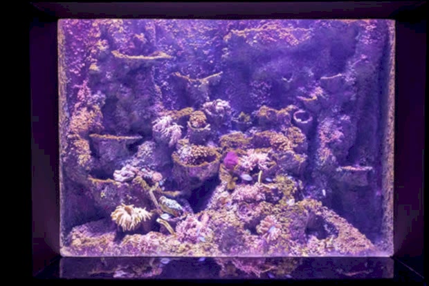 Antalya Aquarium Antalya Aquarium