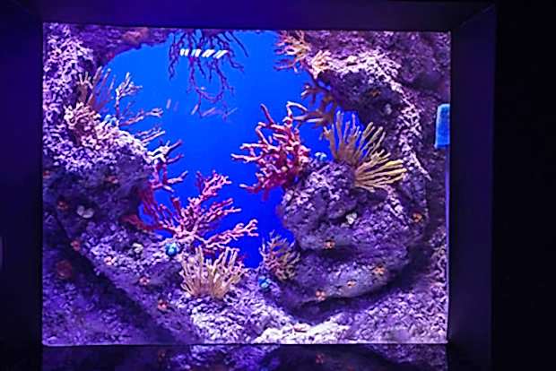 Antalya Aquarium Antalya Aquarium