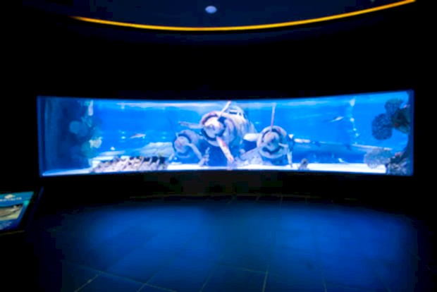 Antalya Aquarium Antalya Aquarium