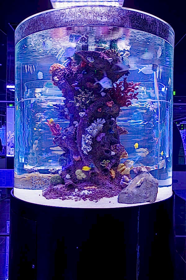 Antalya Aquarium Antalya Aquarium