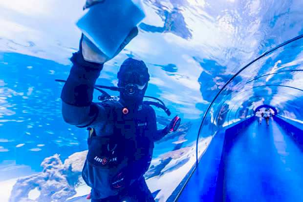 Antalya Aquarium Antalya Aquarium