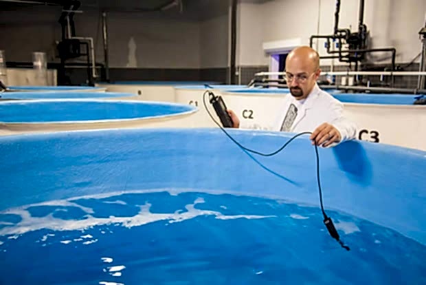 Antalya Aquarium Antalya Aquarium