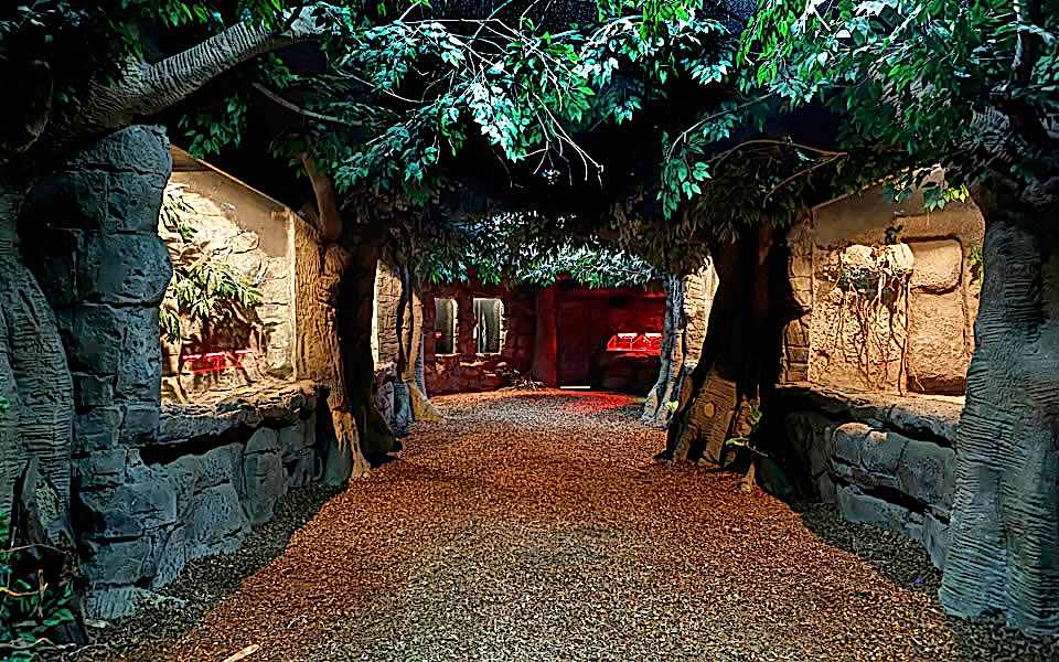 adrenalind-dunyasi (1)