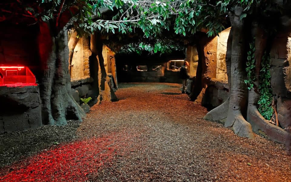 adrenalind-dunyasi (4)