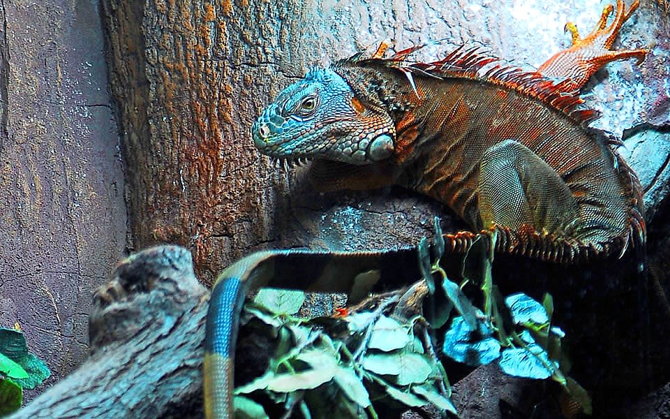 adrenalind-dunyasi (6)