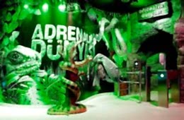 Adrenalin Dünyası