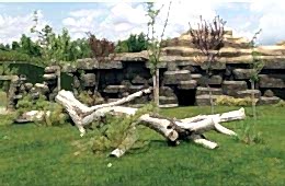 Eskişehir Hayvanat Bahçesi