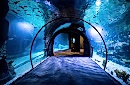 Funtastic Aquarium İzmir