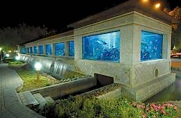 Keçiören Akvaryumu