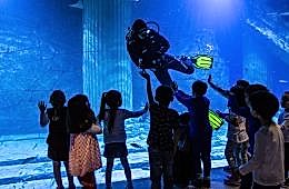 Trabzon Tünel Akvaryum